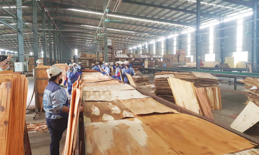 Mỹ gia hạn kết luận chống lẩn tránh thuế với gỗ dán và pin mặt trời Việt Nam