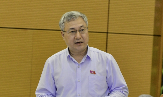 ĐBQH Trần Văn Lâm: 'Ngân hàng báo lãi lớn vẫn được giảm thuế VAT là vô lý'