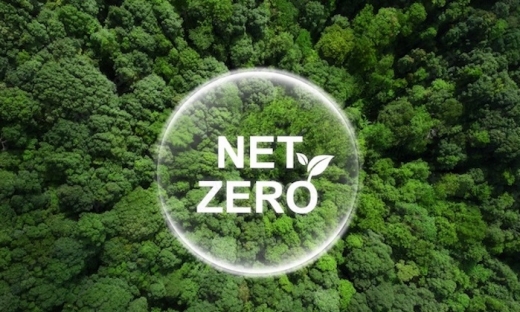 Doanh nghiệp Việt hiện thực hóa khát vọng Net Zero với lâm nghiệp bền vững