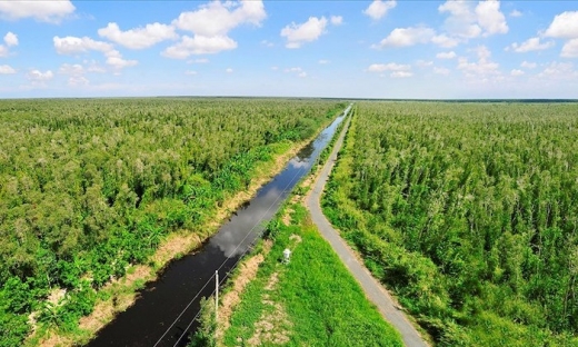 Việt Nam bán thành công tín chỉ carbon rừng, nhận về 51,5 triệu USD