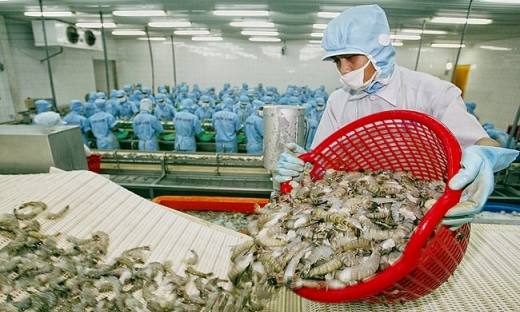  Bộ Công Thương đề nghị Úc sớm bãi bỏ lệnh tạm ngừng nhập khẩu tôm