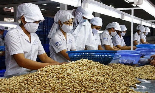Đột biến: Trung Quốc tăng mua hạt điều, mở nhà máy dọc biên giới Việt Nam
