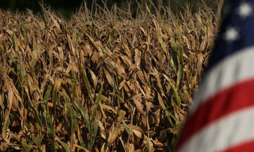 Trung Quốc chính thức tuyên bố ngừng mua nông sản Mỹ, dọa tung đòn thuế quan mới