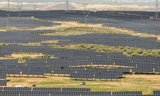 Thành công của năng lượng mặt trời: ‘Lời nguyền’ với các nhà sản xuất Trung Quốc
