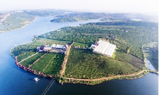 Lâm Đồng từ chối Tân Thành Holdings lập quy hoạch Khu dân cư Lâm Hà 11ha
