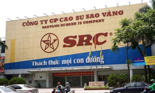 Cao su Sao Vàng (SRC) của Chủ tịch Phạm Hoành Sơn bị phạt và truy thu thuế hơn 1,6 tỷ đồng