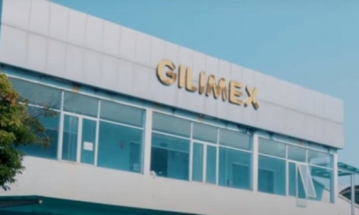 Gilimex rót 126 tỷ đồng vào 2 công ty môi giới, đấu giá bất động sản