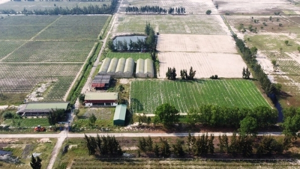 Đại dự án hoang tàn ở Hà Tĩnh: FLC có biến, bỏ mặc khu nông nghiệp công nghệ cao èo uột