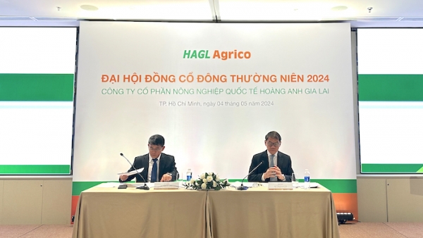 Đánh cược vào HNG, Tỷ phú Trần Bá Dương hứa 2025 sẽ có lãi 
