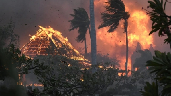 Cháy rừng tàn phá Hawaii: 1.700 tòa nhà bị 'xóa sổ', hàng chục người thiệt mạng