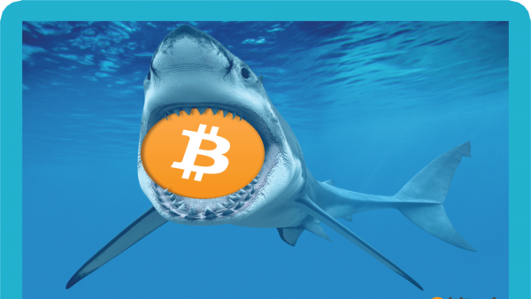 Giá bitcoin hôm nay (13/3): 'Trùm tin tức' dùng chính cảm xúc của mọi người để giúp ‘cá mập’ giao dịch