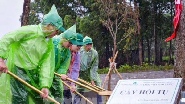 Hải Phòng khởi động chương trình 'Trồng 1 triệu cây xanh'