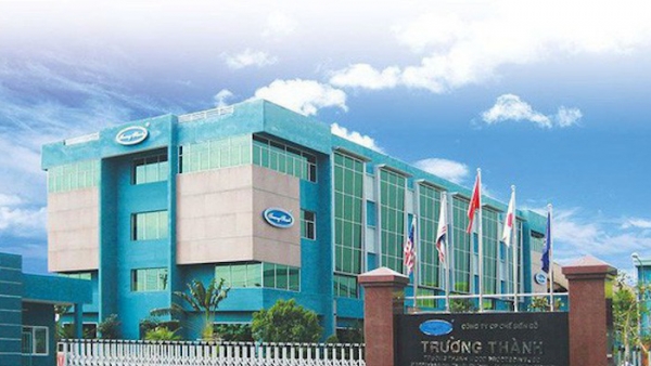 Chủ tịch Mai Hữu Tín chỉ mua một nửa lượng cổ phiếu TTF đã đăng ký