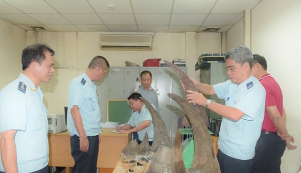 Bắt giữ hơn 34 kg sừng tê giác nhập trái phép tại sân bay Nội Bài