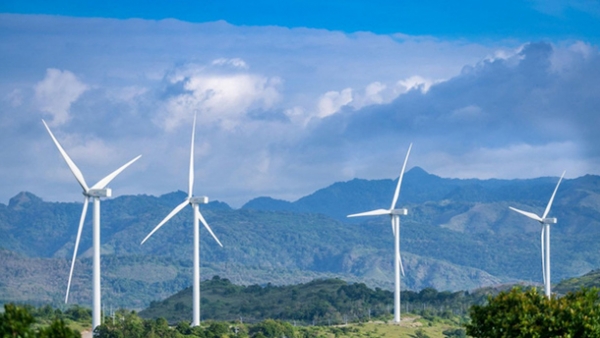 Quảng Trị duyệt phương án nộp tiền trồng rừng thay thế tại dự án nhà máy điện gió Hải Anh 1.565 tỷ đồng