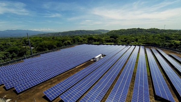 Thủ tướng cho phép Bình Định chuyển 155ha đất rừng để làm 3 dự án điện mặt trời