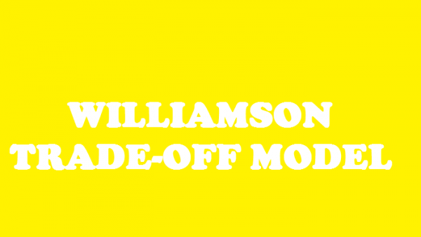 Mô hình đánh đổi Williamson là gì?