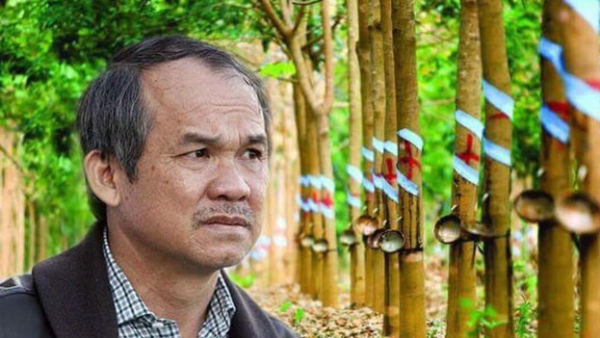 Hoàng Anh Gia Lai muốn rót 5.000 tỷ trồng rừng, xây nhà máy điện, chế biến gỗ tại Kon Tum