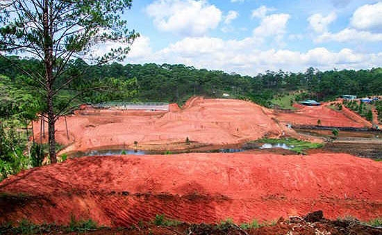 Lâm Đồng: Dự án bảo vệ rừng của Công ty Thác Rồng làm mất hàng chục ha rừng