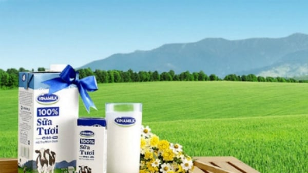 F&N Dairy tiếp tục miệt mài đăng ký mua thêm 14,5 triệu cổ phiếu Vinamilk