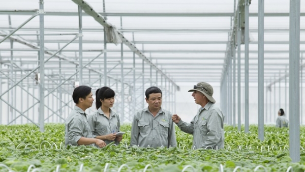 Nhiều doanh nghiệp quan tâm gói tín dụng nông nghiệp công nghệ cao