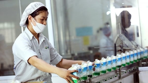Mộc Châu Milk chốt quyền trả 165 tỷ đồng cổ tức đợt 2 năm 2021