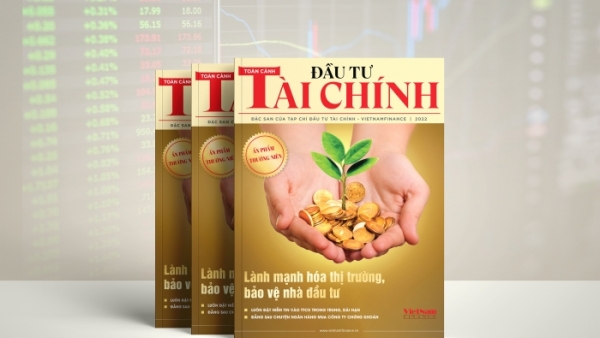 Đọc gì trên Đặc san Toàn cảnh Đầu tư Tài chính Việt Nam?
