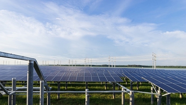 Nhà máy điện mặt trời lớn nhất Đông Nam Á mọc trên đất bán ngập