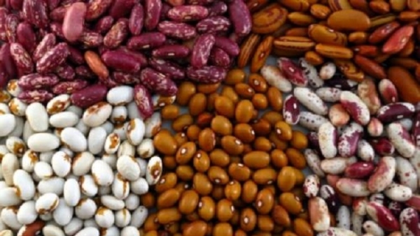 Bộ Nông nghiệp tạm ngừng nhập khẩu một loạt thực phẩm từ Indonesia