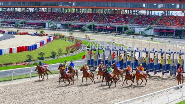 Trường đua ngựa 9.500 tỷ của đại gia Hàn Quốc tại Sóc Sơn vẫn ‘bất động’ vì thiếu giấy phép kinh doanh đặt cược