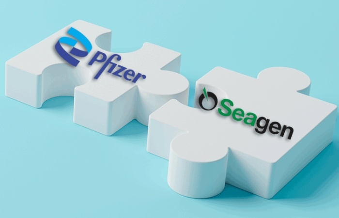 Thương vụ M&A lớn nhất nửa đầu 2023 gọi tên Pfizer - Seagen