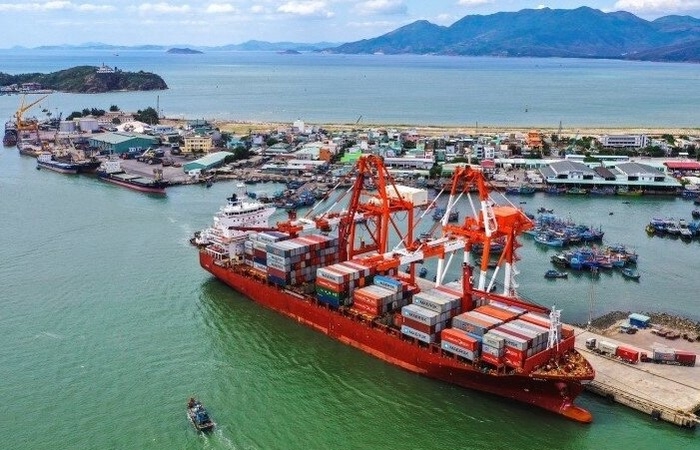 Vì sao Cảng Quy Nhơn bị phạt 100 triệu đồng?