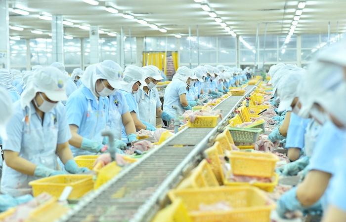 Nam Việt tiếp tục liên doanh với đối tác Hàn Quốc khởi động lại dự án collagen và gelatin