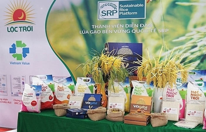 Lộc Trời xuất khẩu gạo với thương hiệu 'Cơm ViệtNam Rice' sang thị trường châu Âu