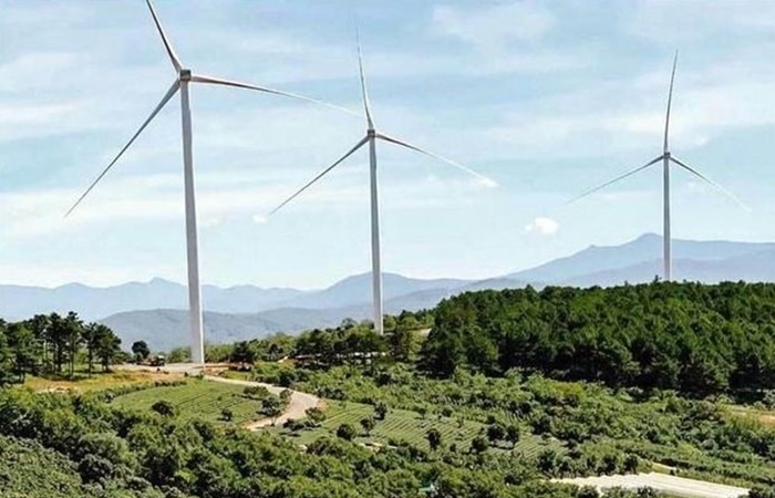Lâm Đồng: Chiếm đất nông nghiệp, chủ đầu tư điện gió Cầu Đất bị phạt 1,4 tỷ