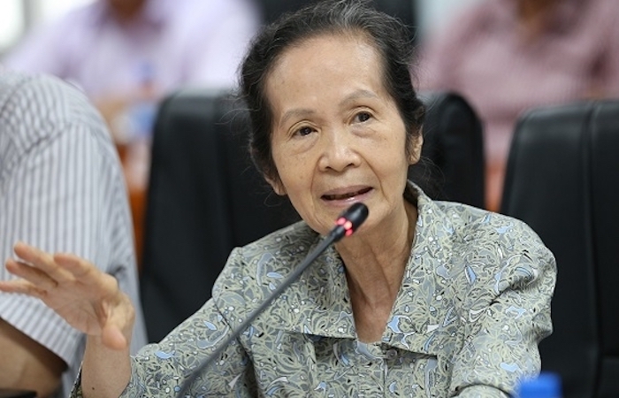 Bà Phạm Chi Lan: 'Ham thị trường dễ tính, Việt Nam có thể lãng quên thị trường khó tính'