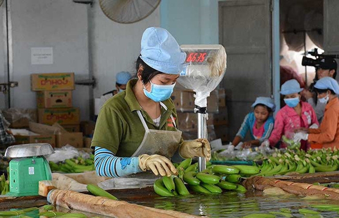 Mỹ giảm thuế, siết nhập khẩu: Việt Nam bị ảnh hưởng sao?