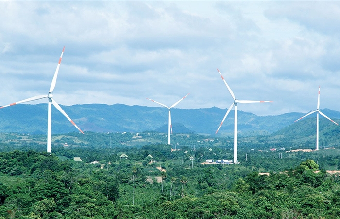 Doanh nhân Trung Quốc muốn lập quy hoạch nhà máy điện gió tại Thanh Hóa