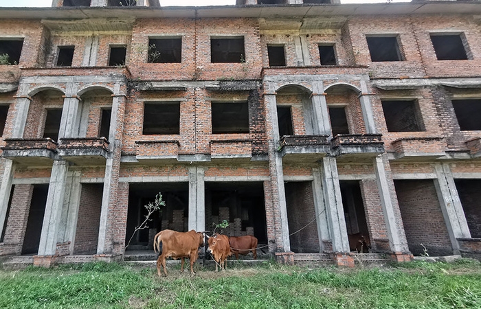 Nhà liền kề Tân Lập - Cienco 5, giá tiền tỷ thành nơi nuôi bò