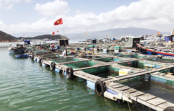 Quảng Trị: DN xin lập nông trường 170 triệu Euro trồng cây, nuôi thủy hải sản hữu cơ