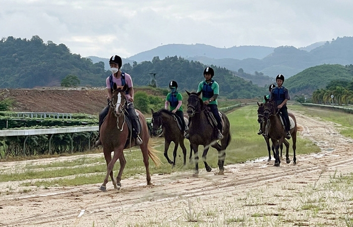 Lâm Đồng: Công ty Thiên Mã-Mađagui được chuyển đổi hơn 6.500m² đất để xây trường đua ngựa