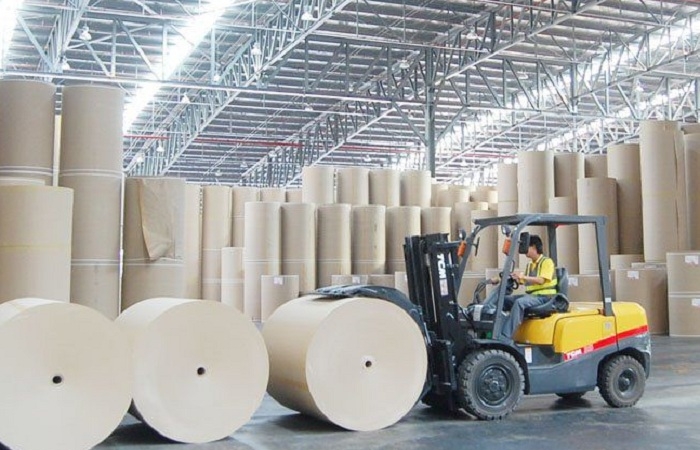 Thái Bình Xanh muốn xây nhà máy sản xuất bột giấy hơn 11.600 tỷ đồng tại Quảng Trị