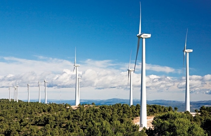 Vietracimex muốn lấy đất rừng làm dự án điện gió ở Bình Thuận