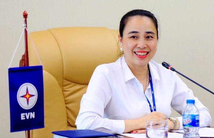 Bà Đỗ Nguyệt Ánh được bổ nhiệm làm chủ tịch HĐTV EVNNPC