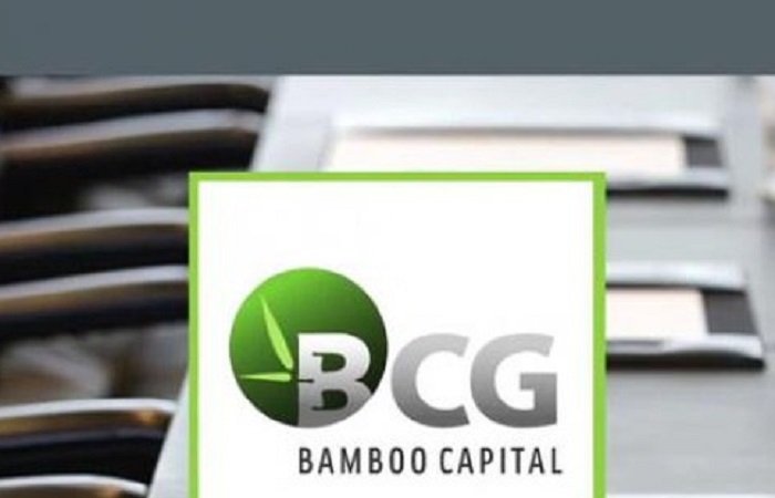 Bamboo Capital rót 320 tỷ đồng lập thêm công ty tài chính