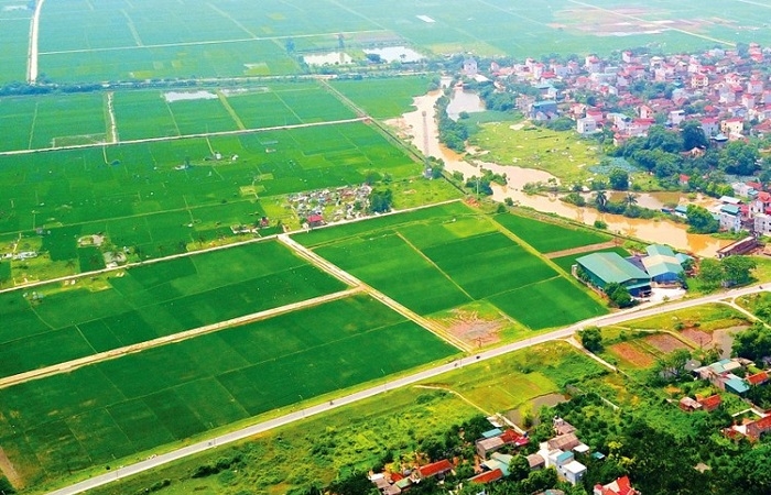Bộ Tư pháp chỉ rõ: 'Quy định đấu giá đất nông nghiệp của Hà Nội là trái pháp luật'