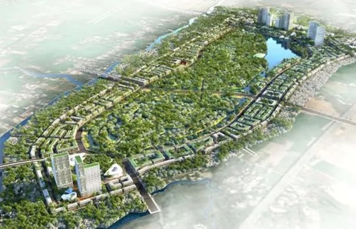 Long An: Đại dự án 17.000 tỷ chuyển đổi 200ha đất lúa sang làm đô thị