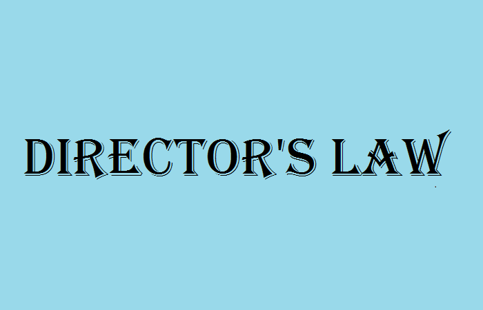 Quy luật Director là gì?