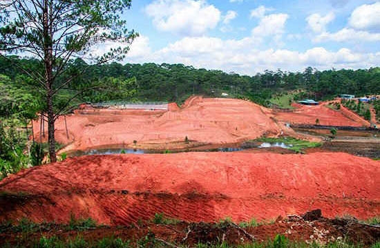 Lâm Đồng: Dự án bảo vệ rừng của Công ty Thác Rồng làm mất hàng chục ha rừng