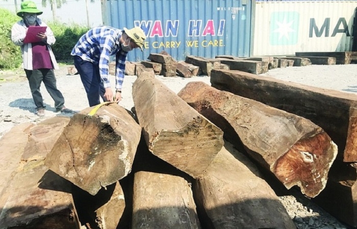Tìm chủ lô hàng 60 container gỗ bị 'bỏ quên' tại cảng